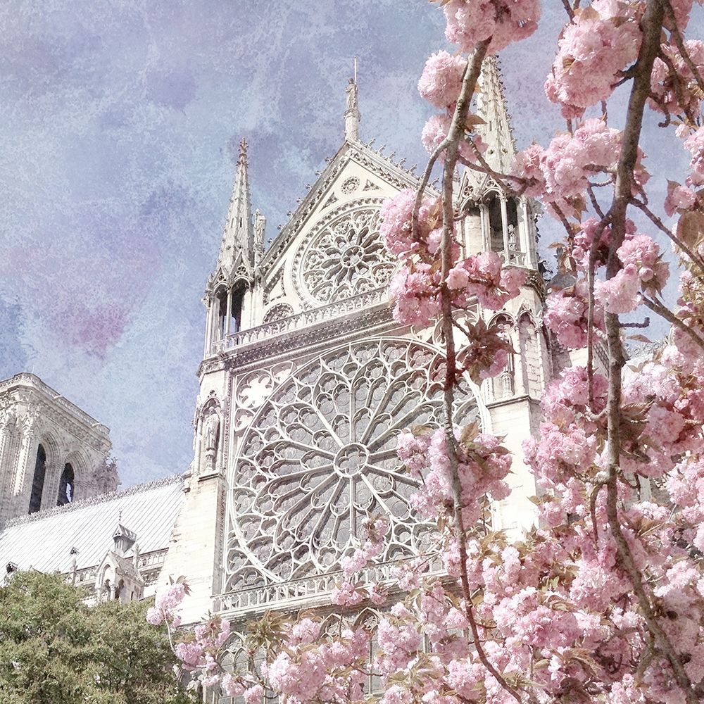 Paris in Bloom 3