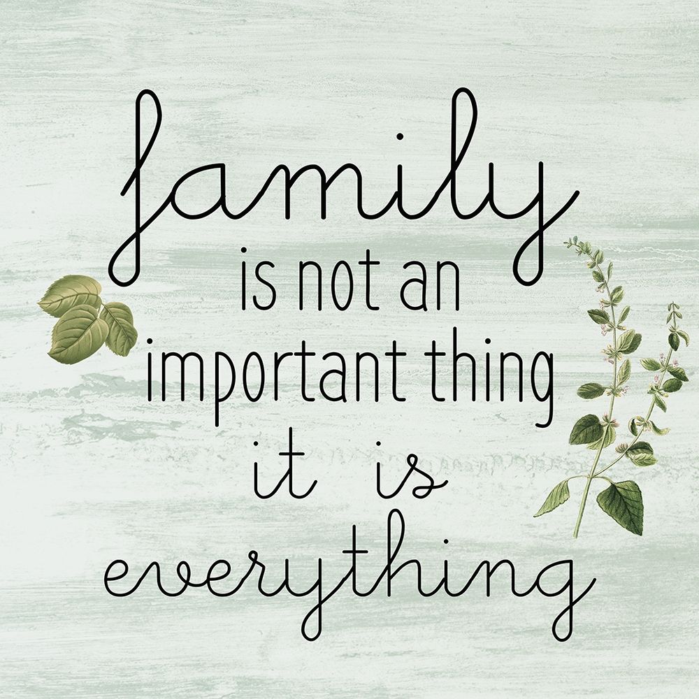 Home and Family 3