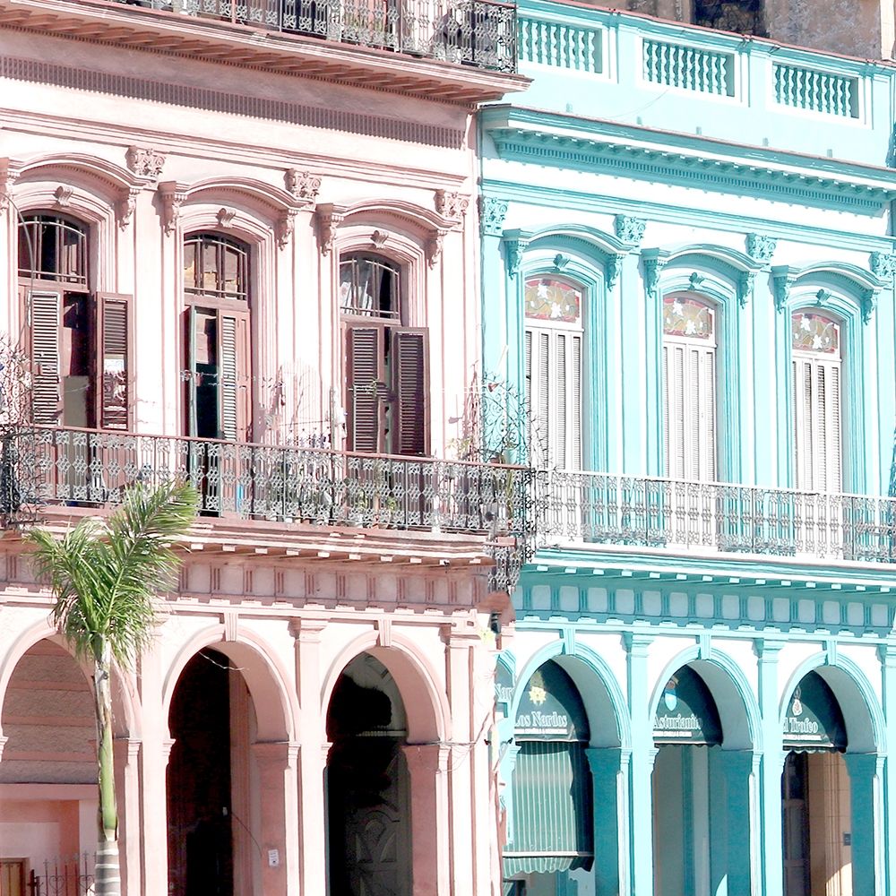Havana Street