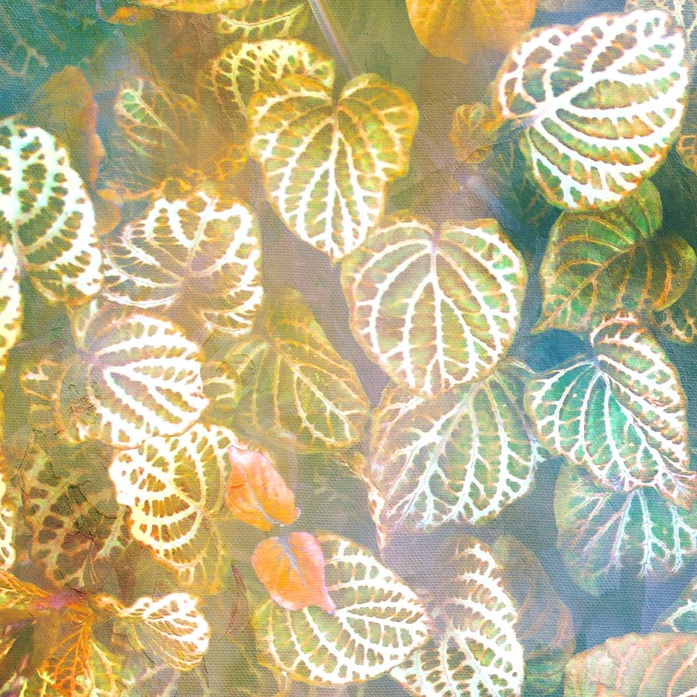Jungle Leaves 1