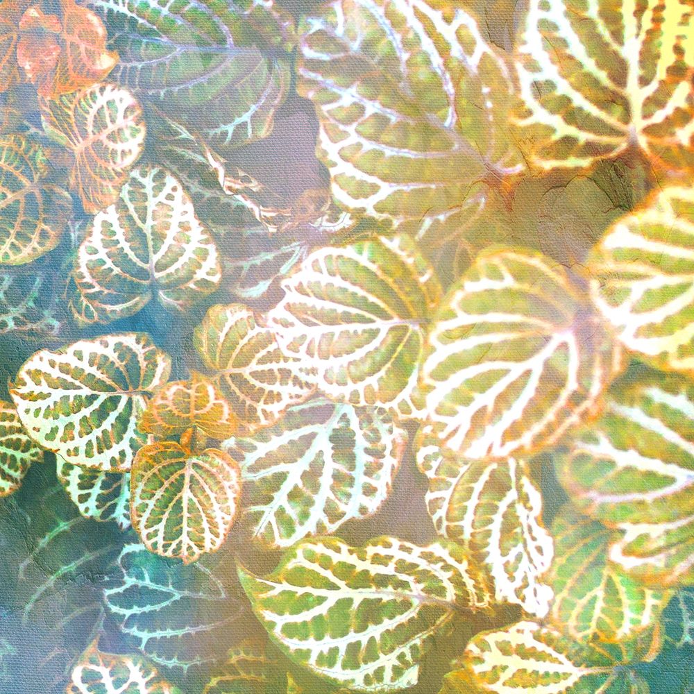 Jungle Leaves 2