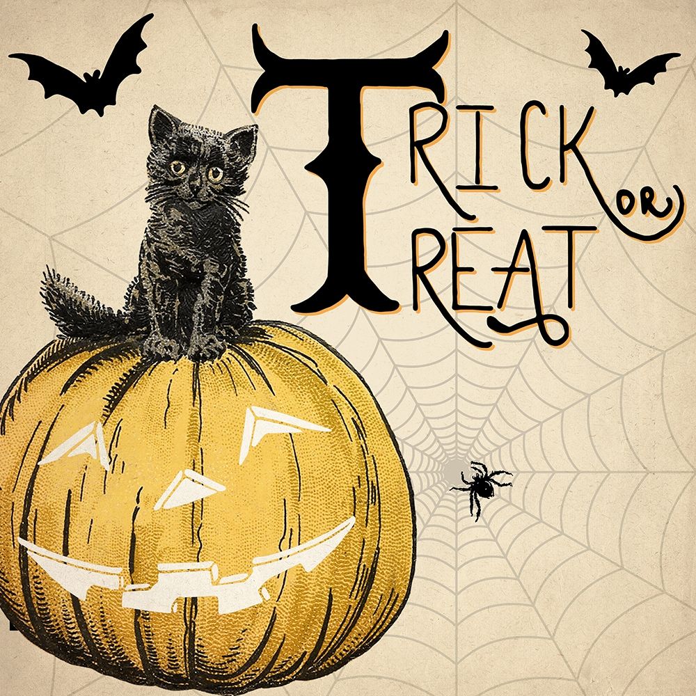 Trick or Treat Cat