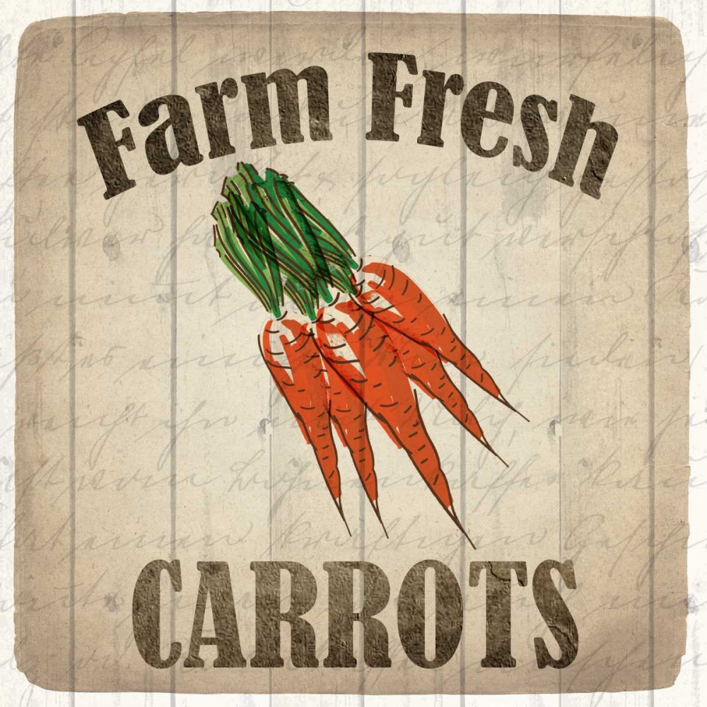 Farm Fresh Carrots
