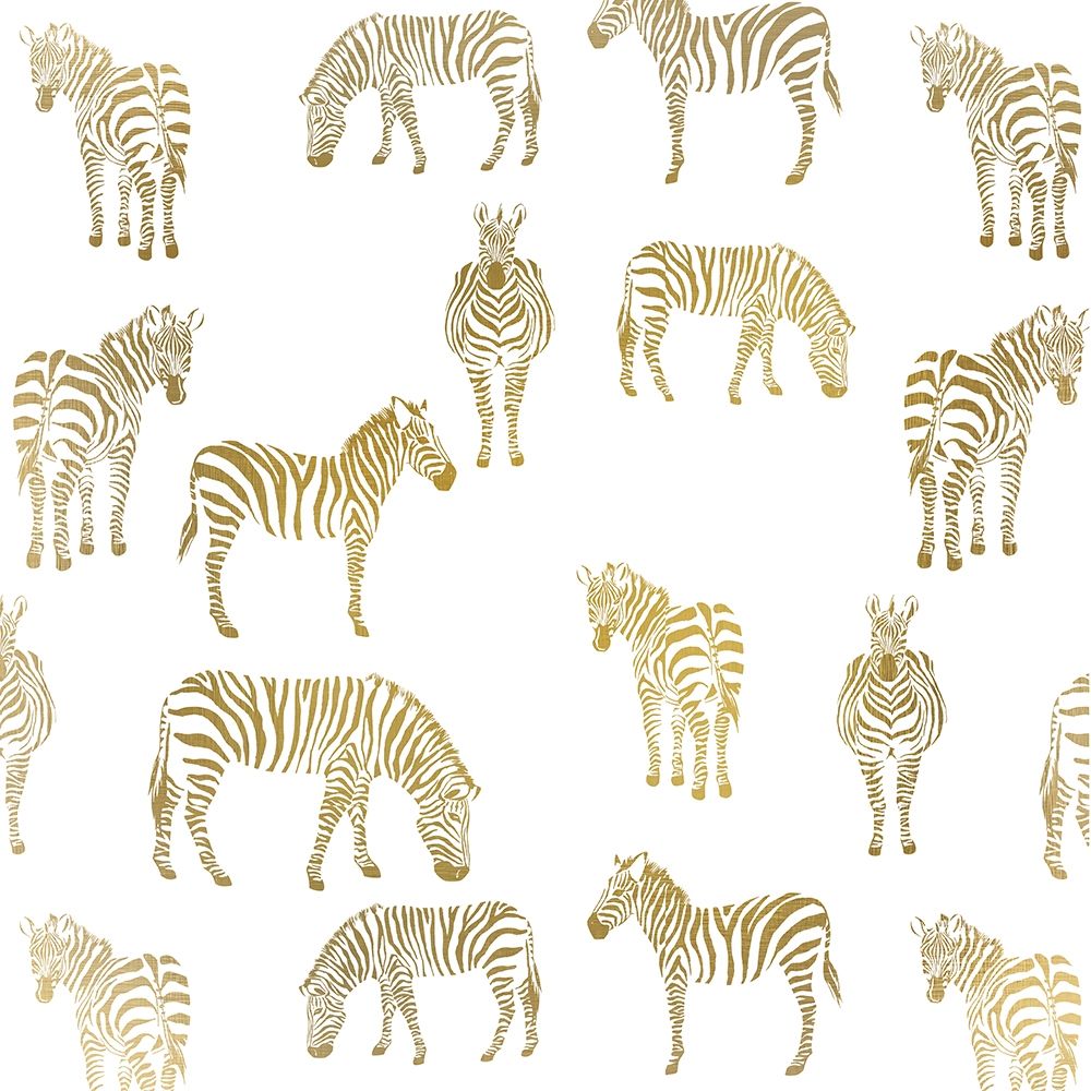 Zebra Zebra