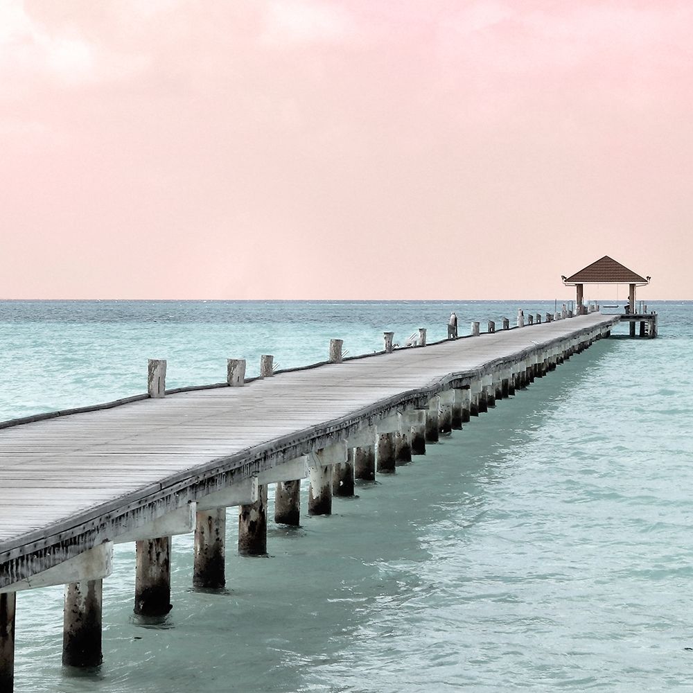 Paradise Pink Stroll