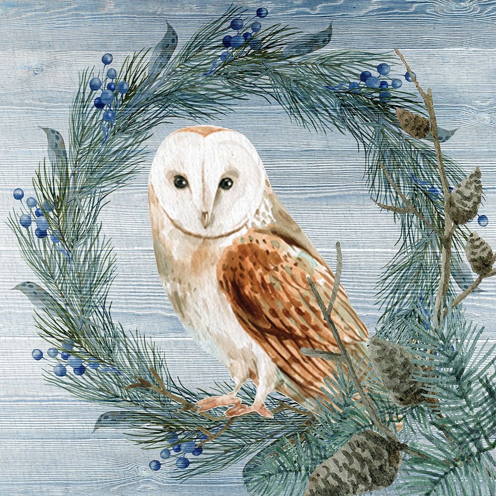 Winter Owl Blues 1