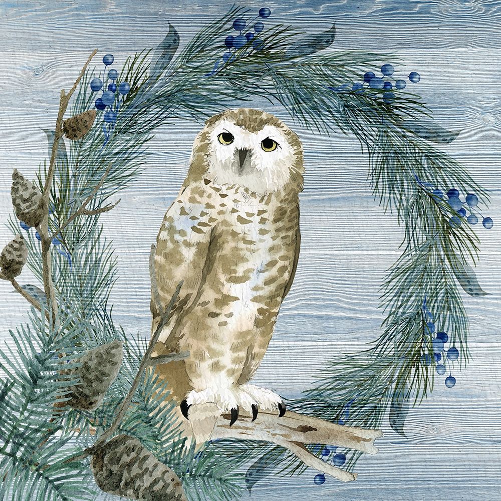 Winter Owl Blues 3