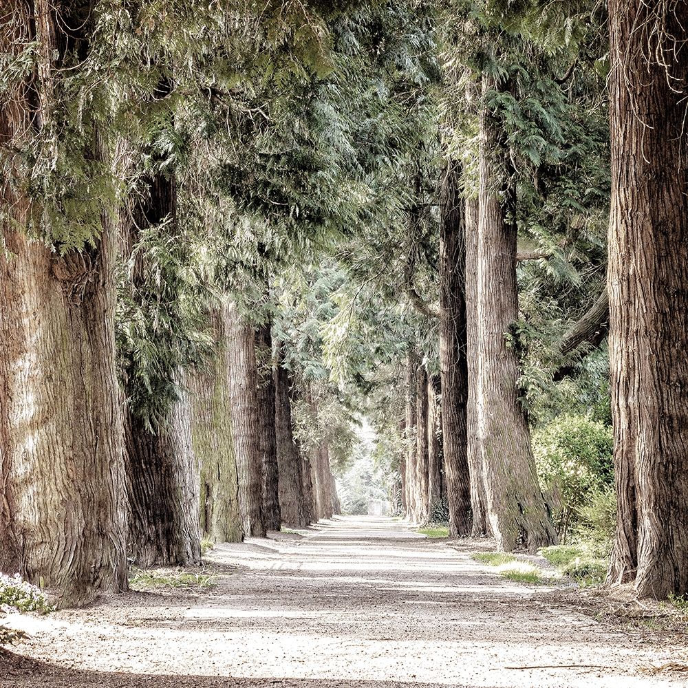 Path