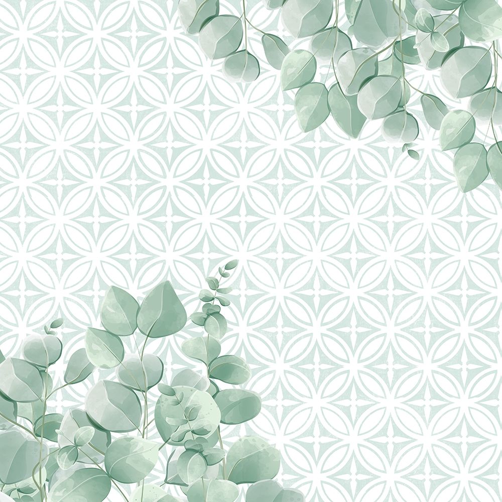 Eucalyptus Mood 7