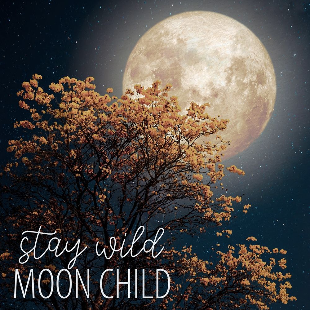 Stay Wild Moon Child