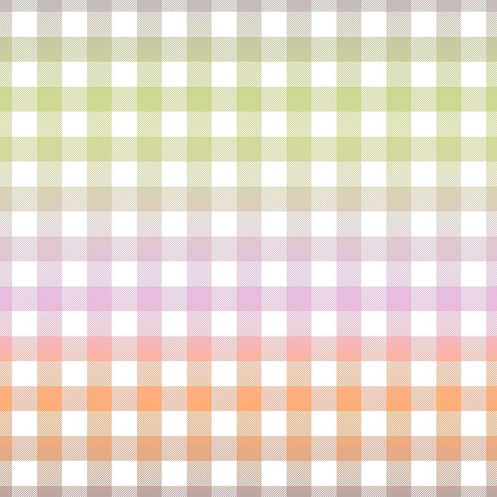 Gradient Checks