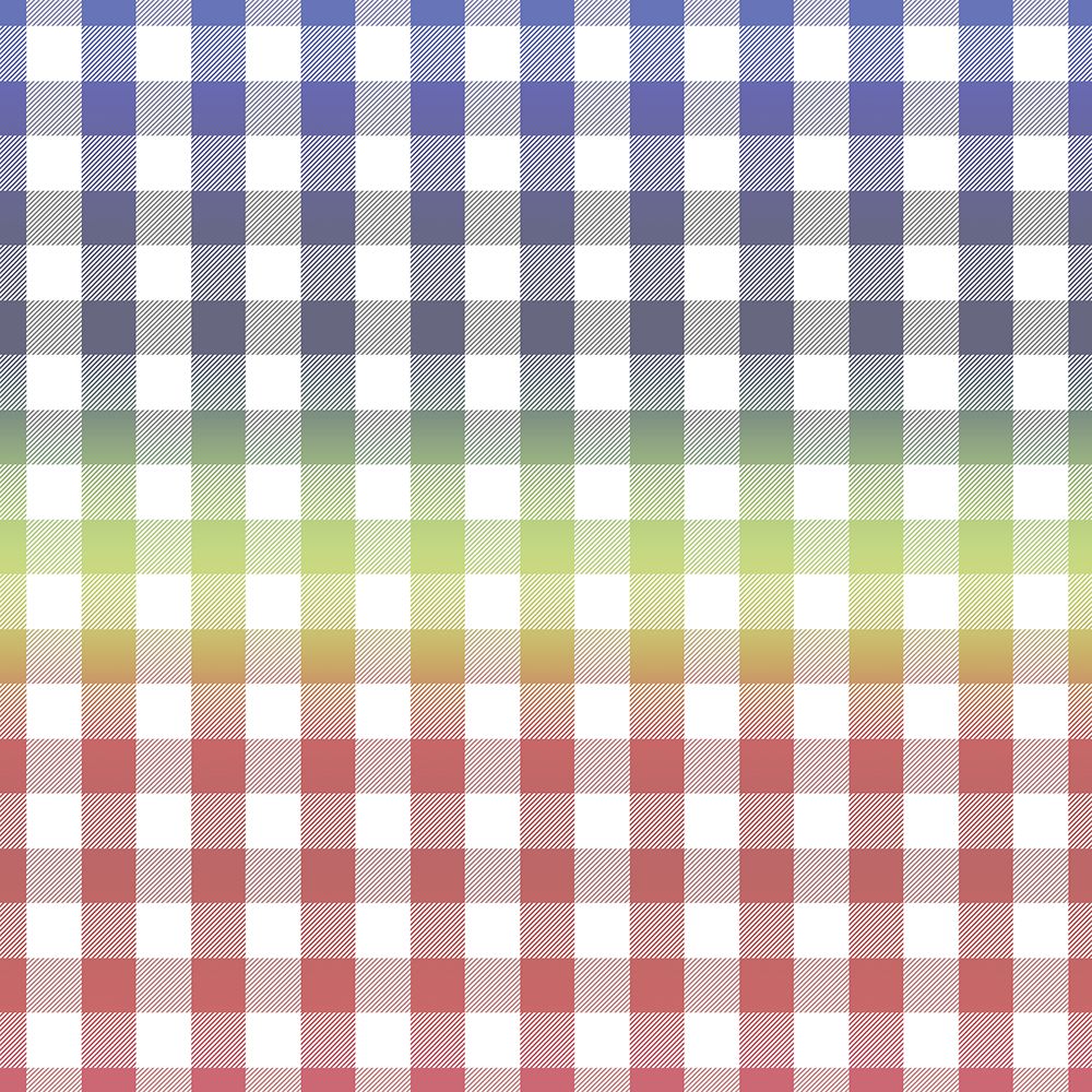 Gradient Checks V2