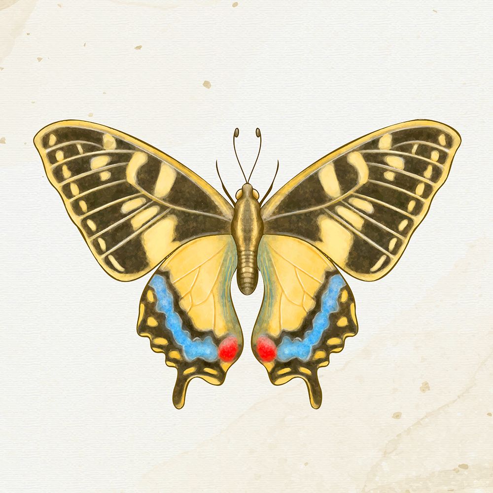 Spring Flight 2