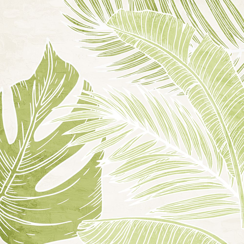 Green Shades Palms 1