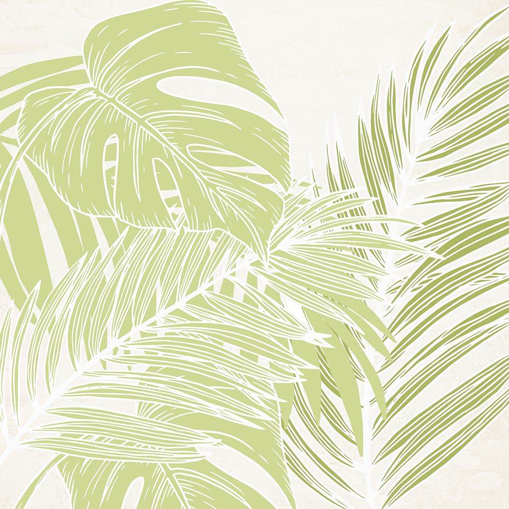 Green Shades Palms 2