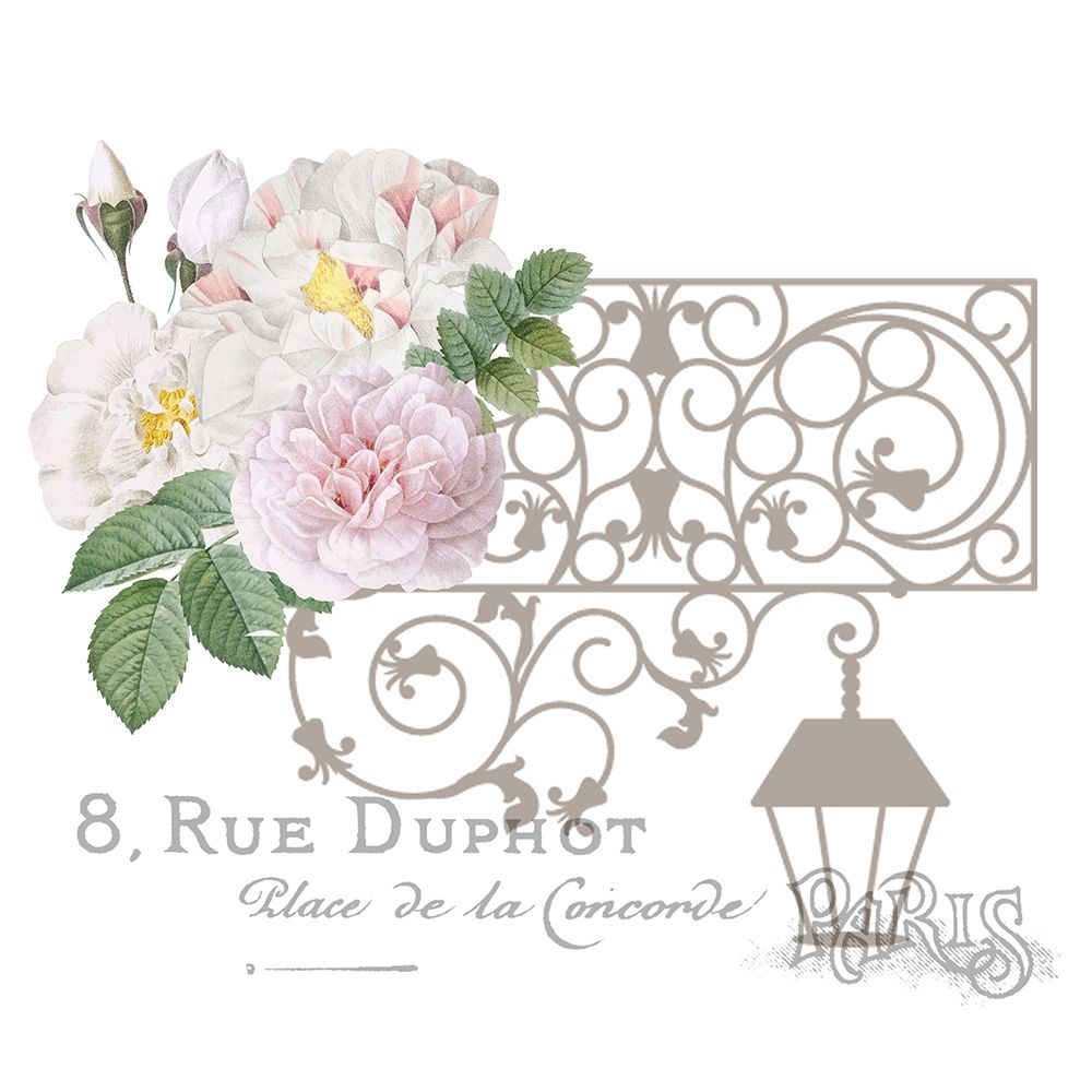 Vintage Paris Rose 3
