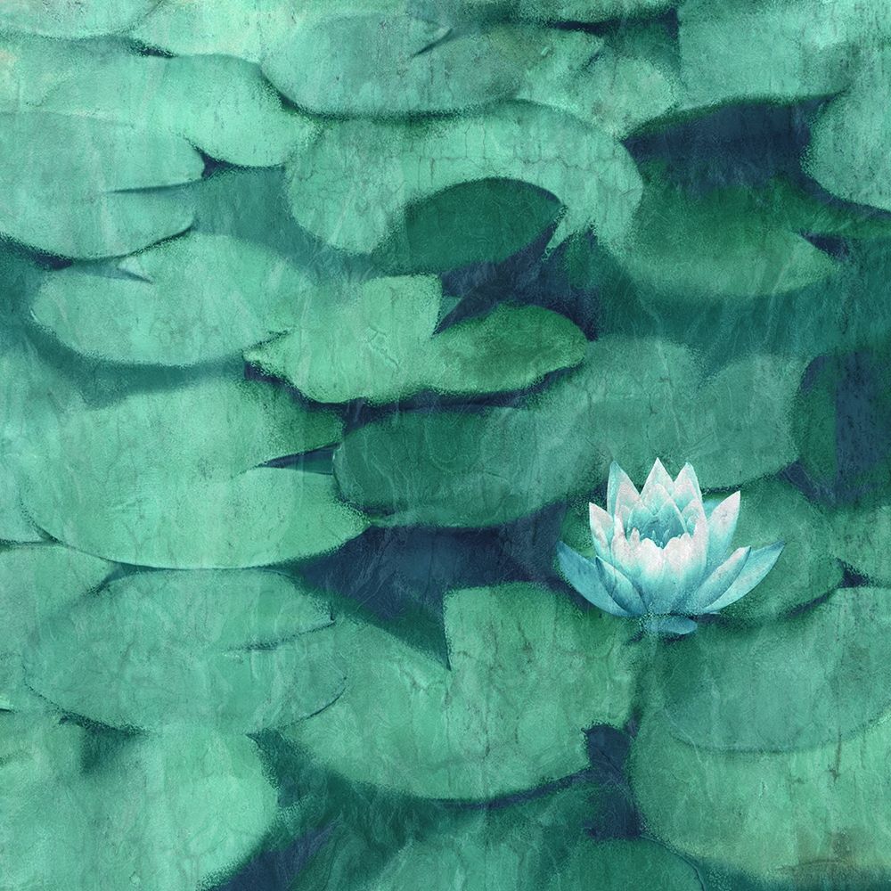 Lotus Blossom