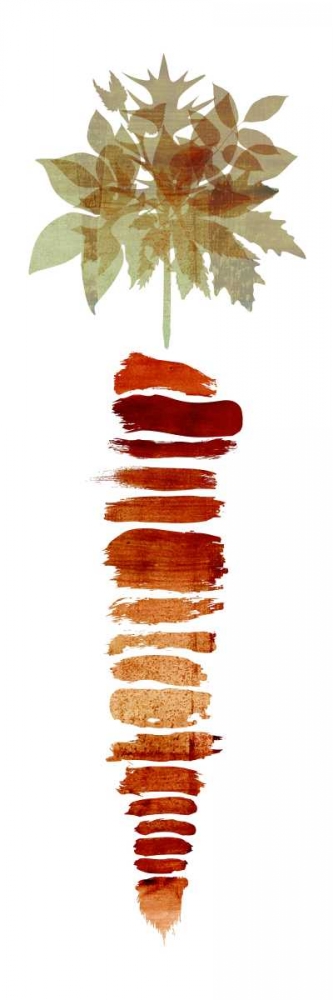 Carrot I