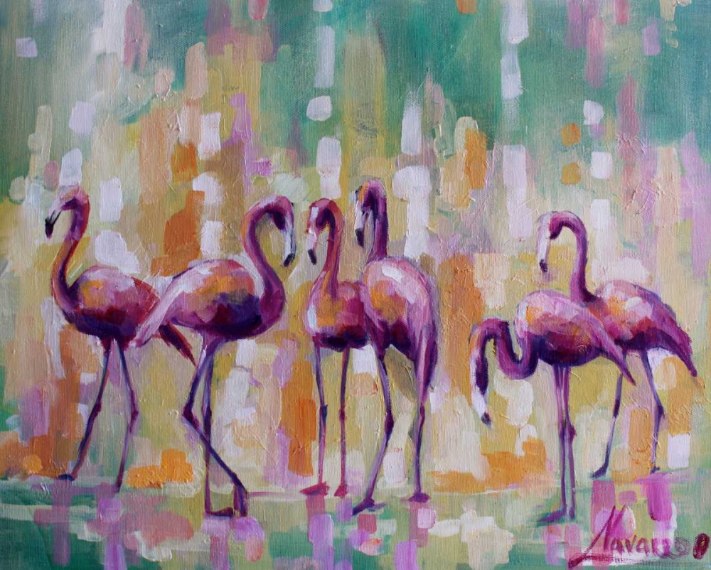 Flamingo Rondevu 1