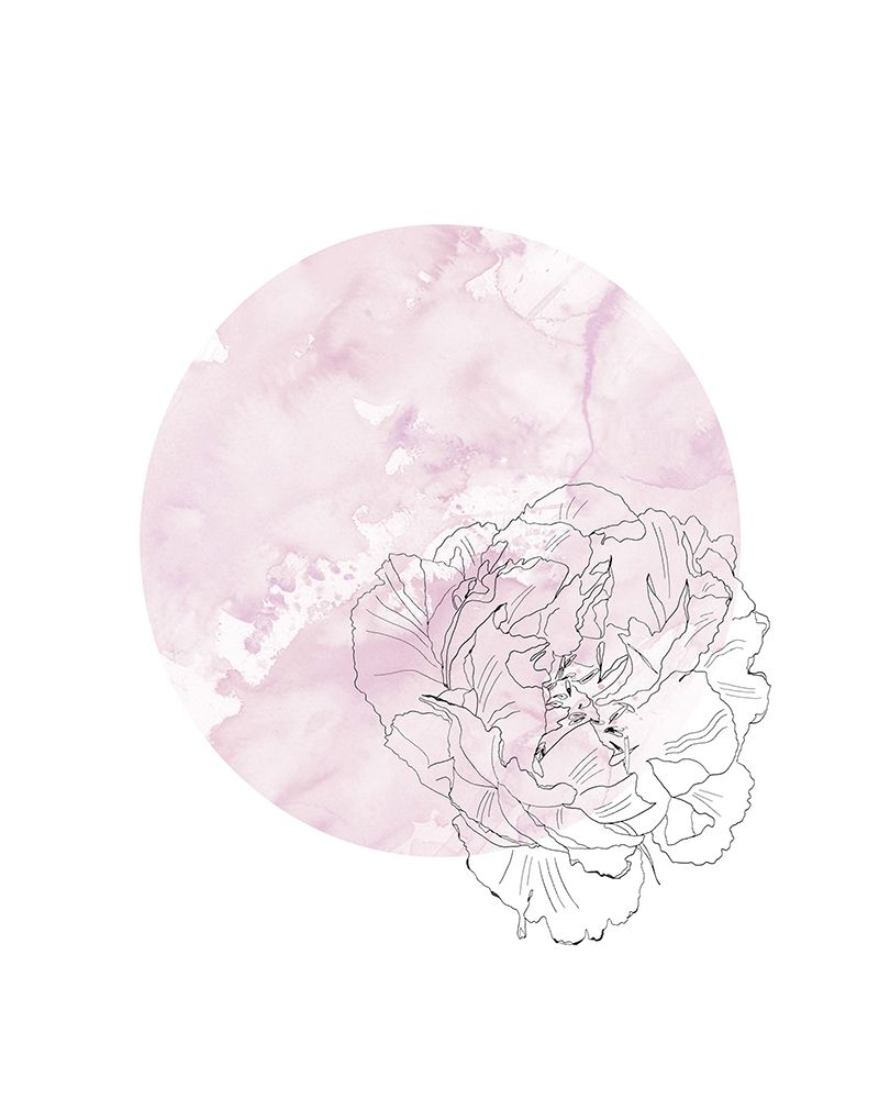 Abstract Peony Illustration