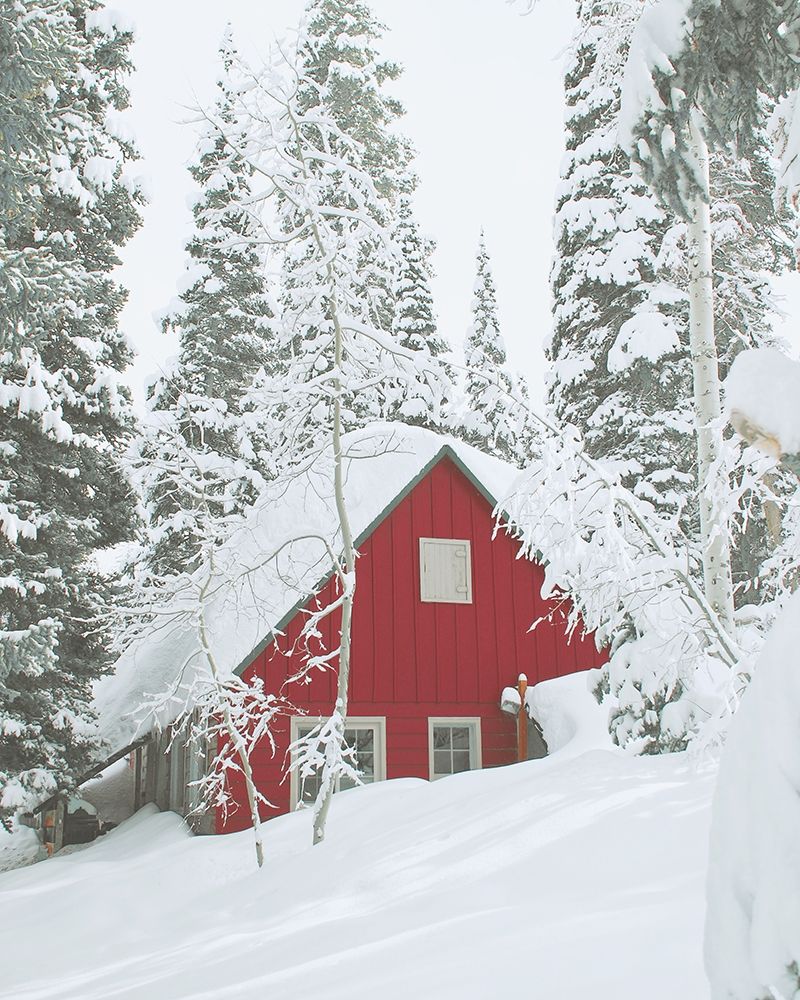 Red Winter Cabin