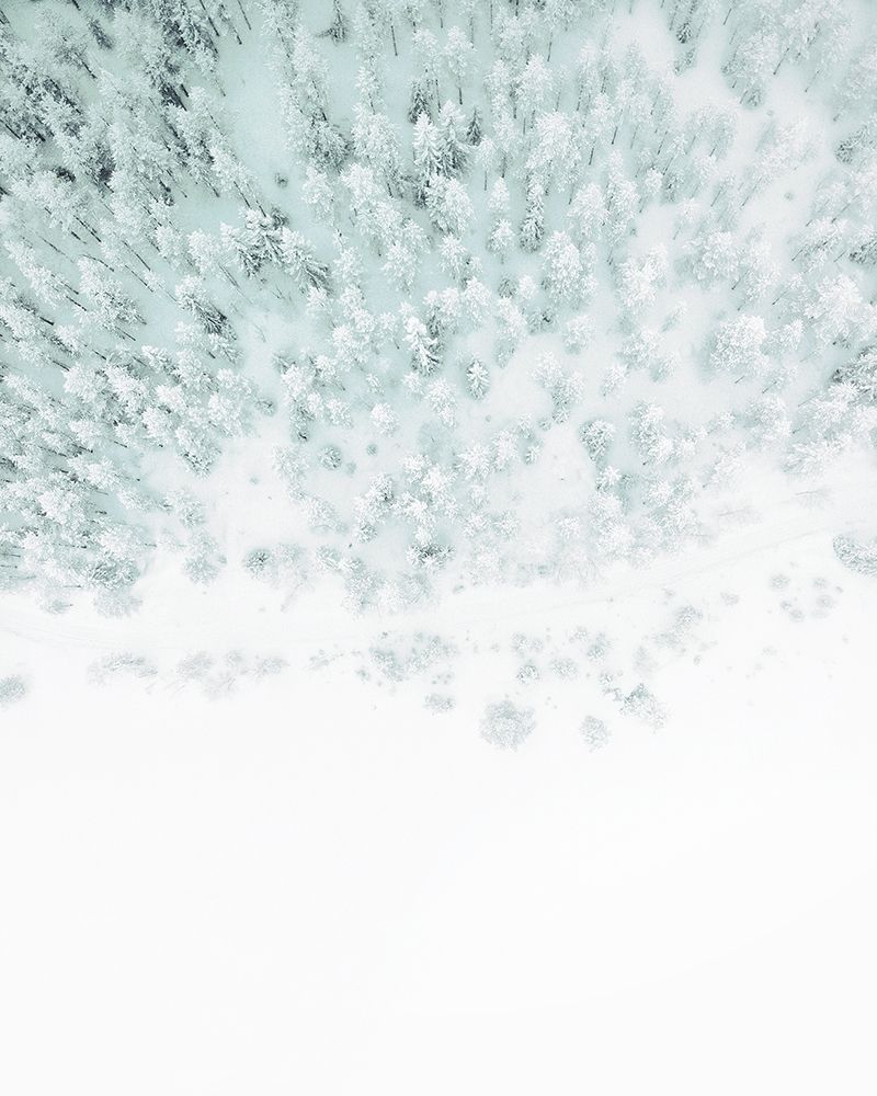 Winter Wonderland