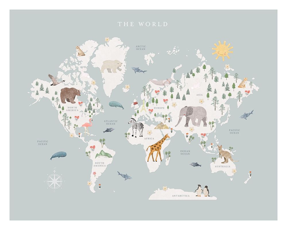 World Map