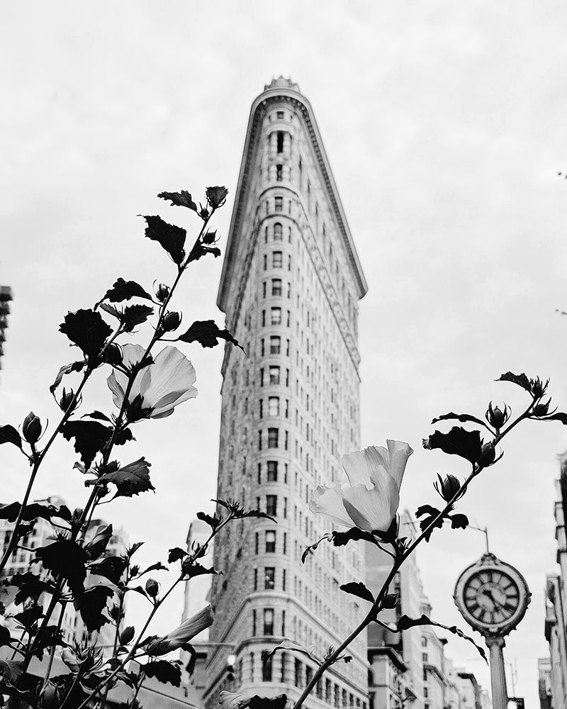 NYC Flatiron