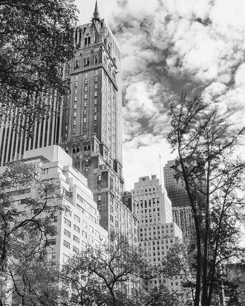 NYC Park Ave