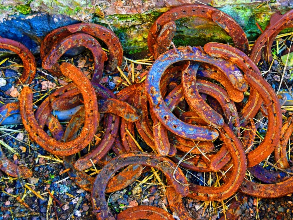 Bright Horse Shoes