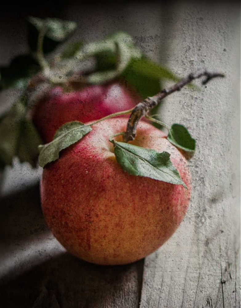 Apple Duo