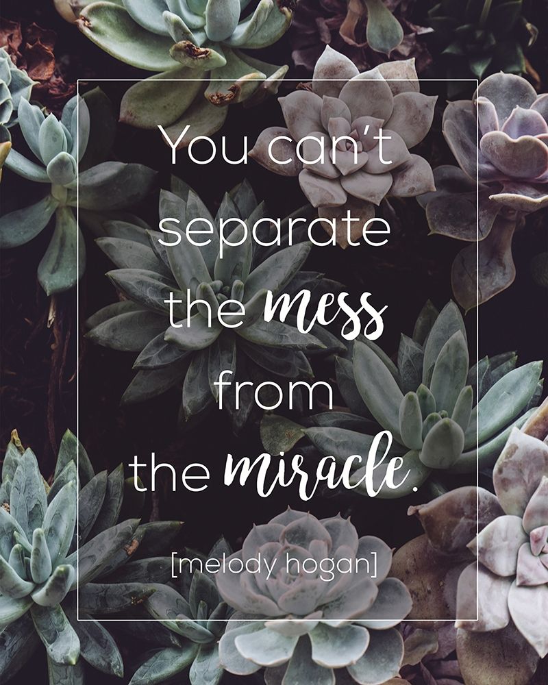Mess and Miracle