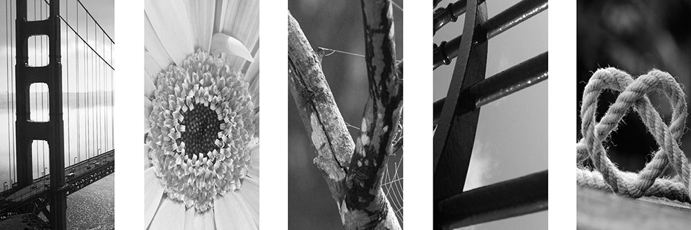 Love Collage 1