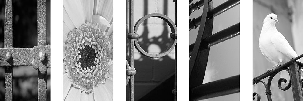 Hope Collage 1