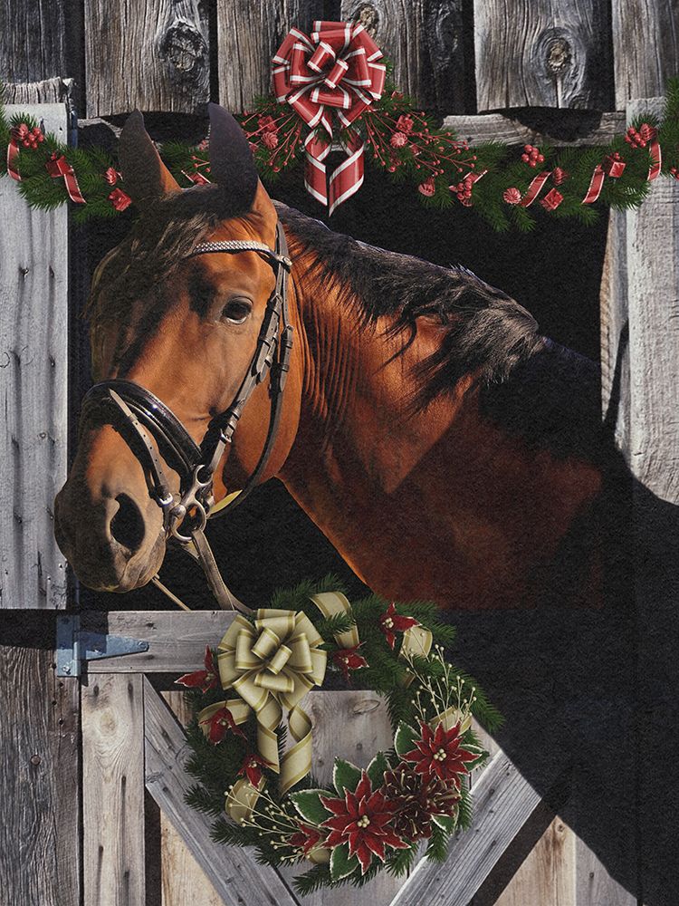 Christmas Friend