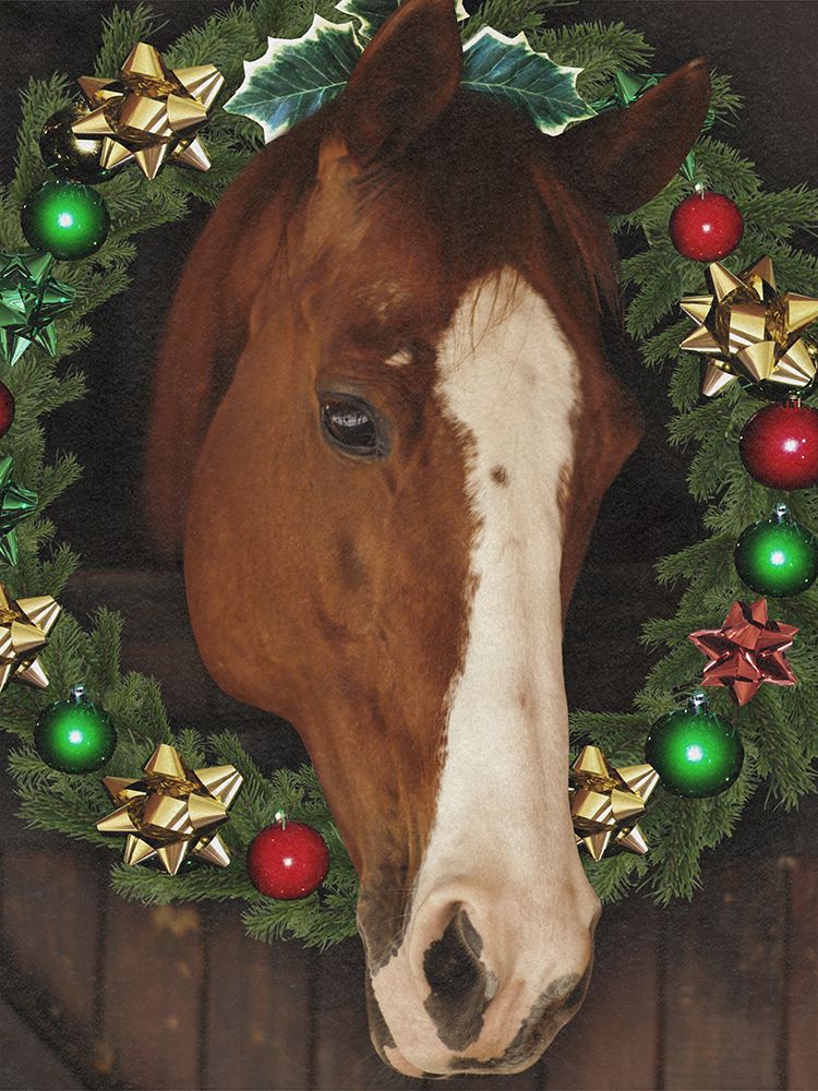 Merry Steed