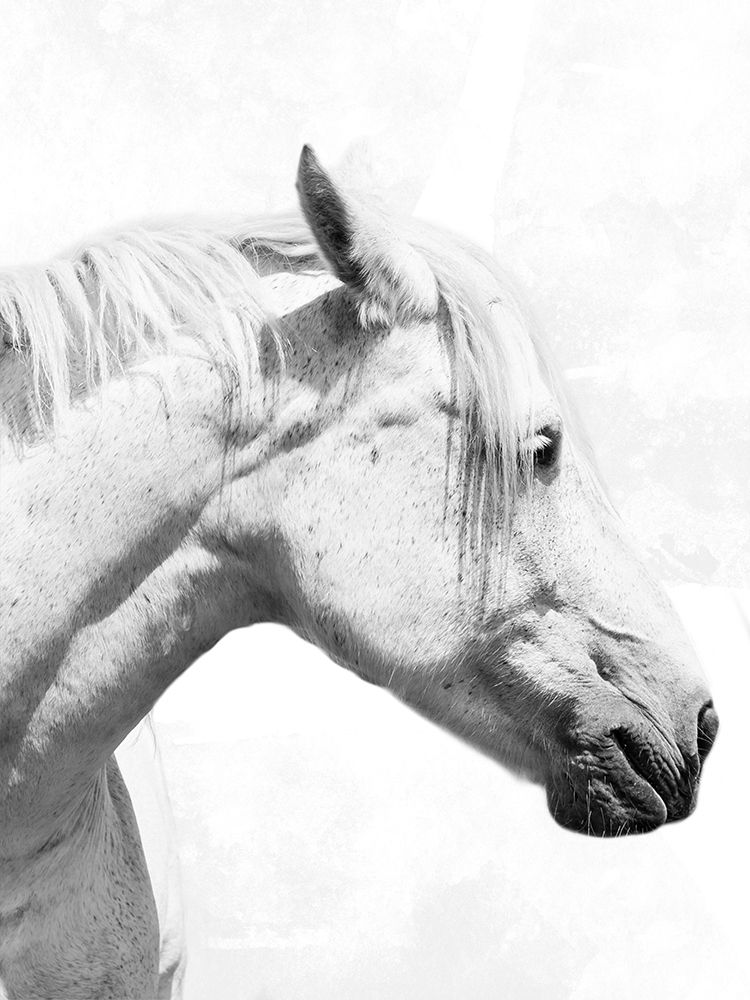 Praying Steed 2