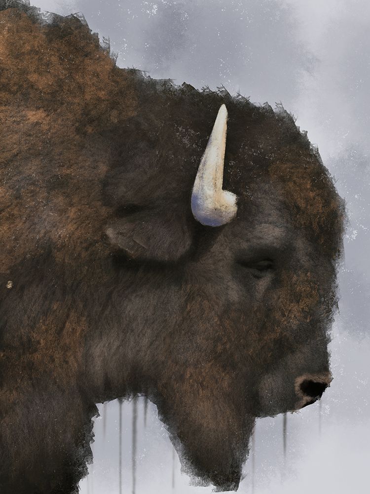Dripping Bison