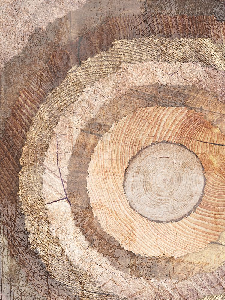 Natural Rings Of Life