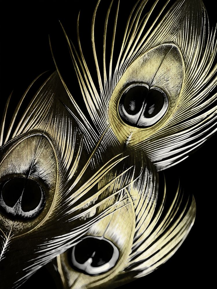 Peacock Gold