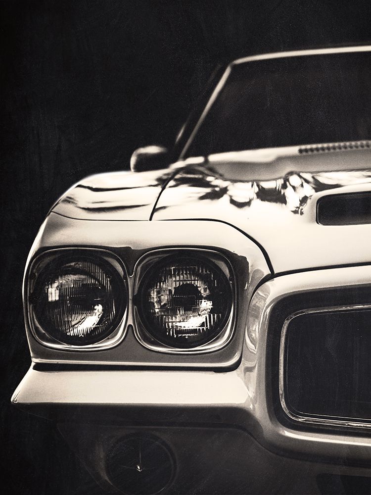 Vintage Muscle 1
