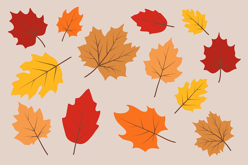 Fall Leaves 1