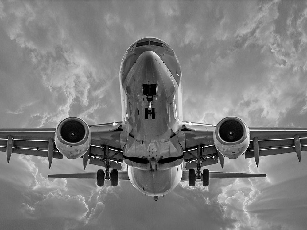 Flying High 1