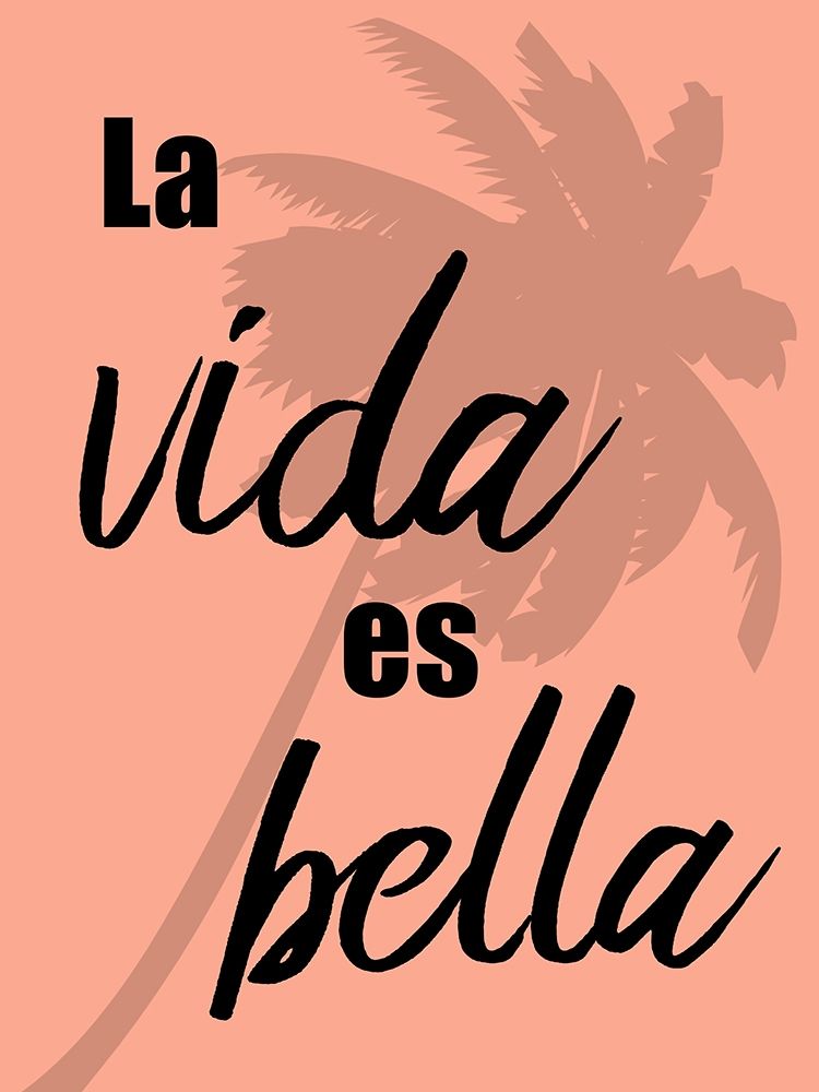 Vida