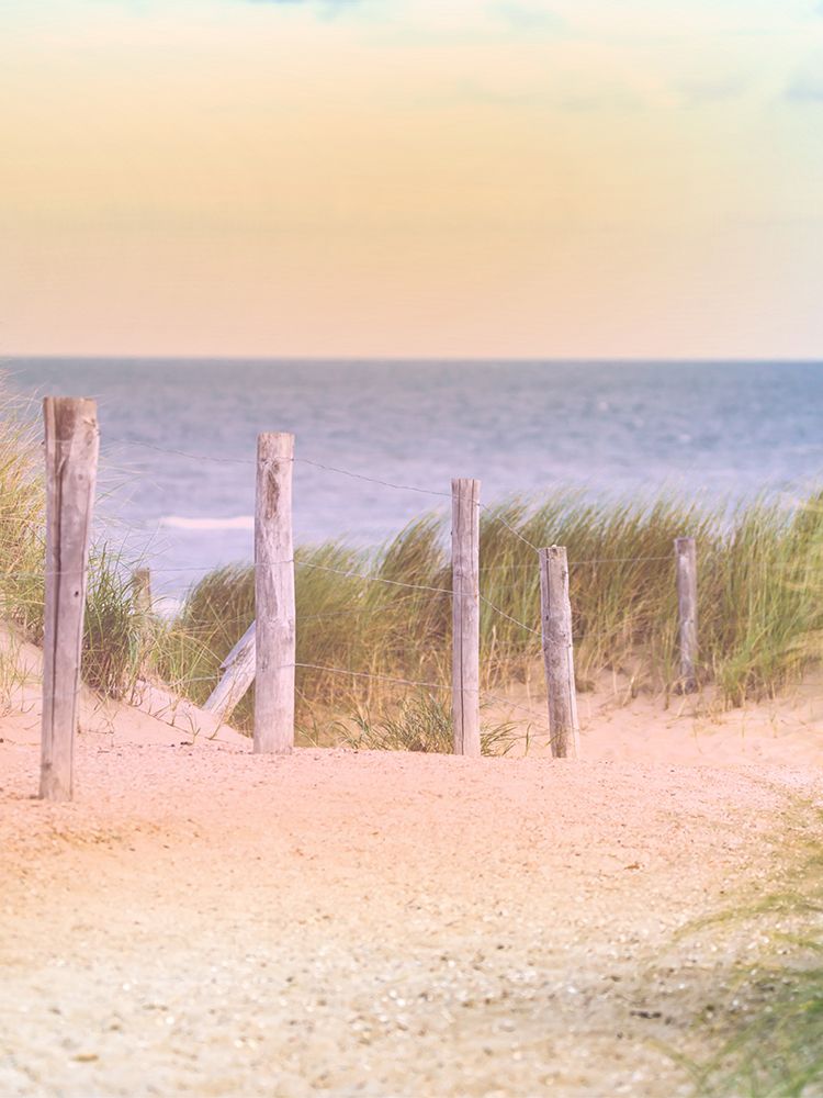 Carefree Vacation