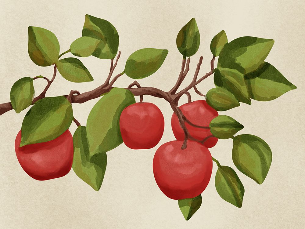 Apple Tree