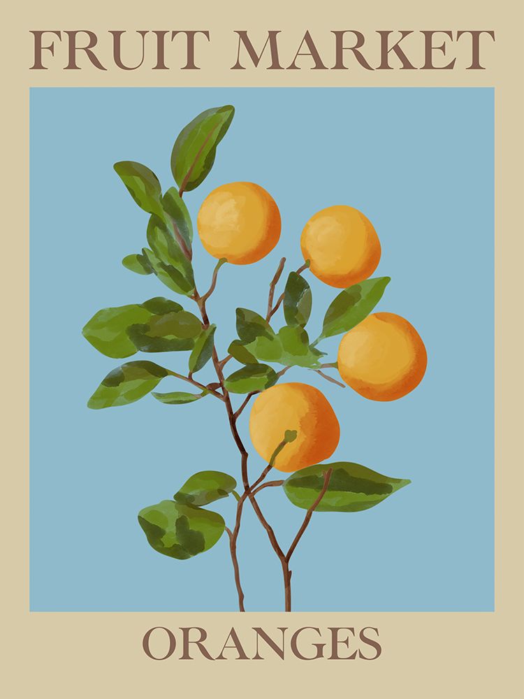 Fruit Market Oranges