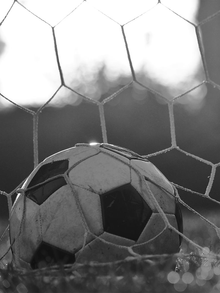 Goal Scorer