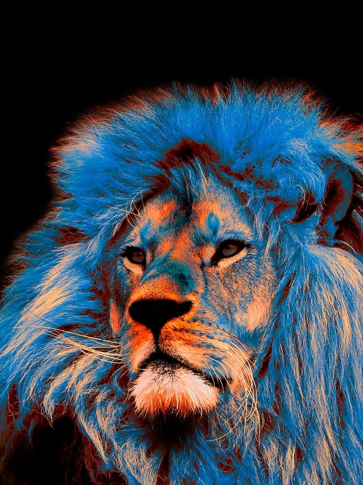 Pride Rock 1