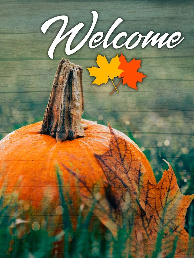Welcome Harvest 2